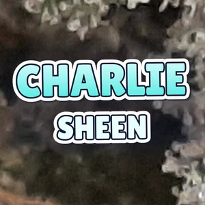 Charlie Sheen Cannabis Strain