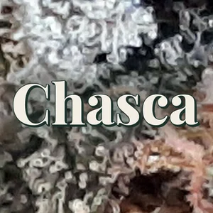 Chasca Cannabis Strain