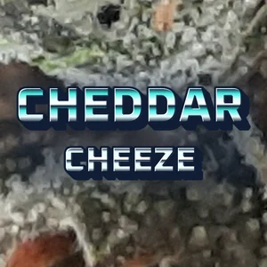 Cheddar Cheeze Cannabis Strain