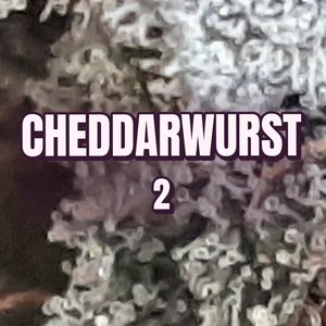 Cheddarwurst 2 Cannabis Strain