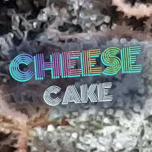 Cheese Cake Cannabis Strain