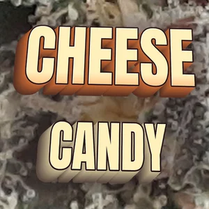 Cheese Candy Cannabis Strain