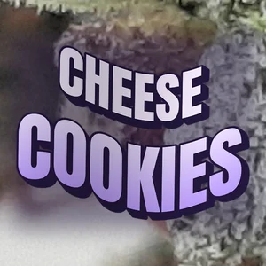 Cheese Cookies Cannabis Strain