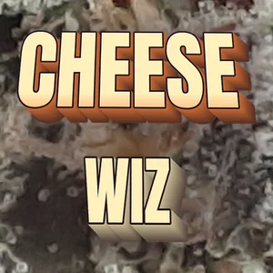Cheese Wiz Cannabis Strain