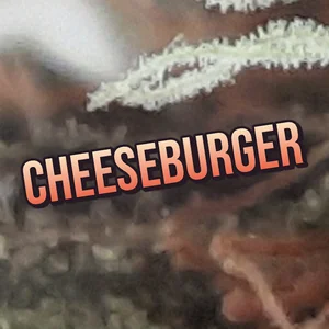 Cheeseburger Cannabis Strain