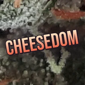Cheesedom Cannabis Strain