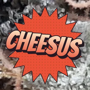 Cheesus Cannabis Strain