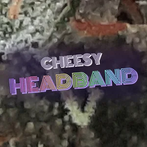 Cheesy Headband Cannabis Strain