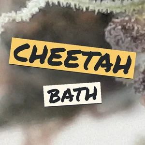 Cheetah Bath Cannabis Strain