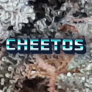 Cheetos Cannabis Strain
