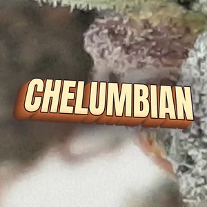 Chelumbian Cannabis Strain