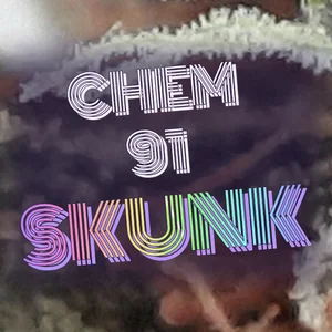 Chem 91 Skunk Cannabis Strain