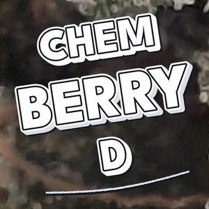 Chem Berry D Cannabis Strain