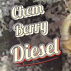 Chem Berry Diesel Cannabis Strain