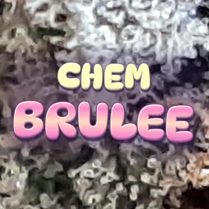 Chem Brulee Cannabis Strain
