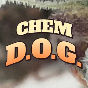 Chem D.O.G. Cannabis Strain