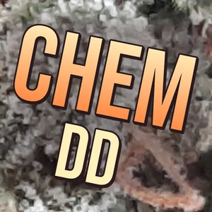 Chem DD Cannabis Strain