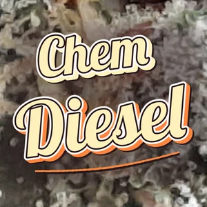 Chem Diesel Cannabis Strain