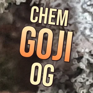 Chem Goji OG Cannabis Strain