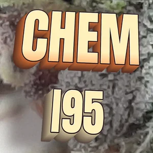 Chem I95 Cannabis Strain