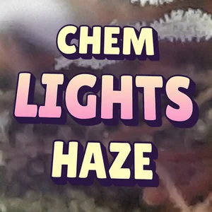 Chem Lights Haze Cannabis Strain