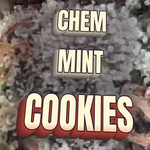 Chem Mint Cookies Cannabis Strain