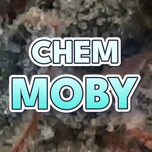 Chem Moby Cannabis Strain