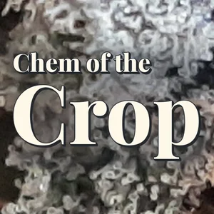 Chem of the Crop Cannabis Strain