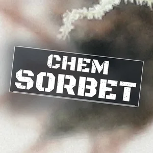 Chem Sorbet Cannabis Strain