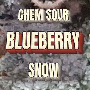 Chem Sour Blueberry Snow Cannabis Strain