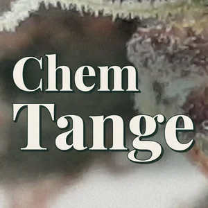 Chem Tange Cannabis Strain