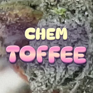 Chem Toffee Cannabis Strain