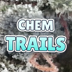 Chem Trails Cannabis Strain