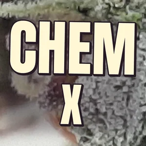Chem X Cannabis Strain
