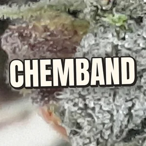 Chemband Cannabis Strain