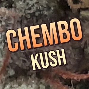 Chembo Kush Cannabis Strain