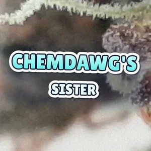 Chemdawg's Sister Cannabis Strain