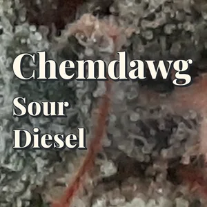Chemdawg Sour Diesel Cannabis Strain