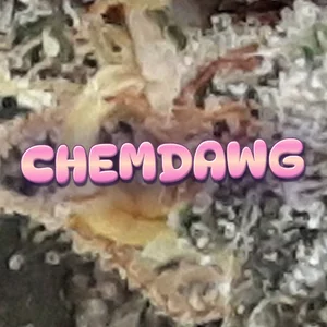 Chemdawg Cannabis Strain