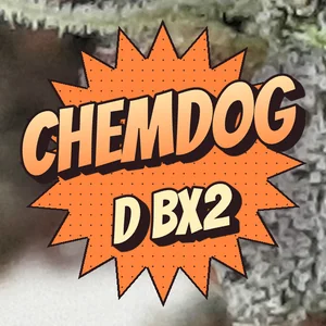 Chemdog D BX2 Cannabis Strain