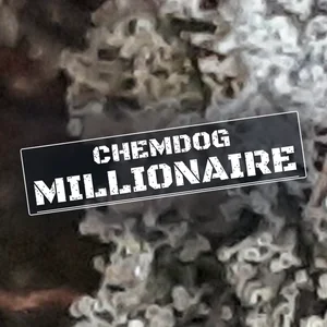Chemdog Millionaire Cannabis Strain