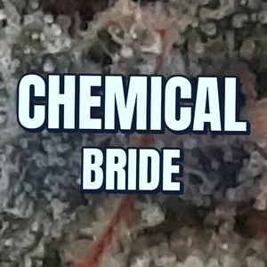Chemical Bride Cannabis Strain