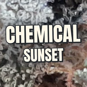 Chemical Sunset Cannabis Strain