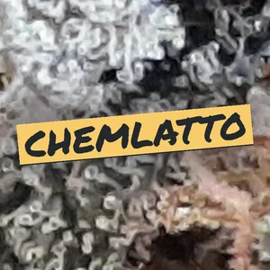 Chemlatto Cannabis Strain
