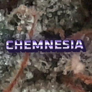 Chemnesia Cannabis Strain