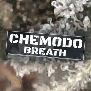 Chemodo Breath Cannabis Strain