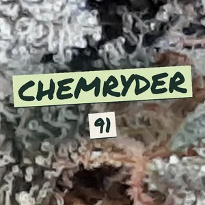 Chemryder 91 Cannabis Strain