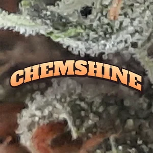 Chemshine Cannabis Strain
