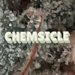 Chemsicle Cannabis Strain