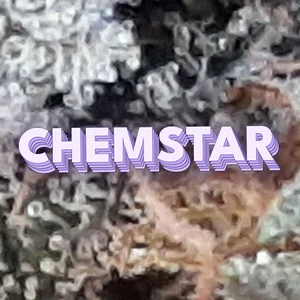 Chemstar Cannabis Strain